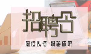 服務商戶，致力發展&mdash;安徽分公司合肥濱湖店攜手優質商戶人才招聘會 